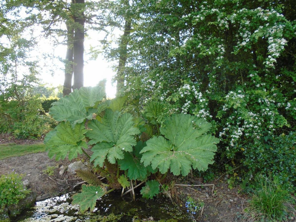 Le Gite Du Colombier Bracquetuit ภายนอก รูปภาพ